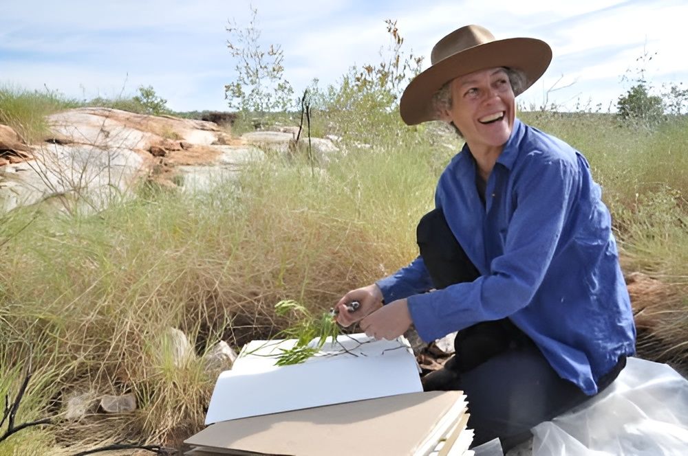 Collecting Data In Field Bush Blitz