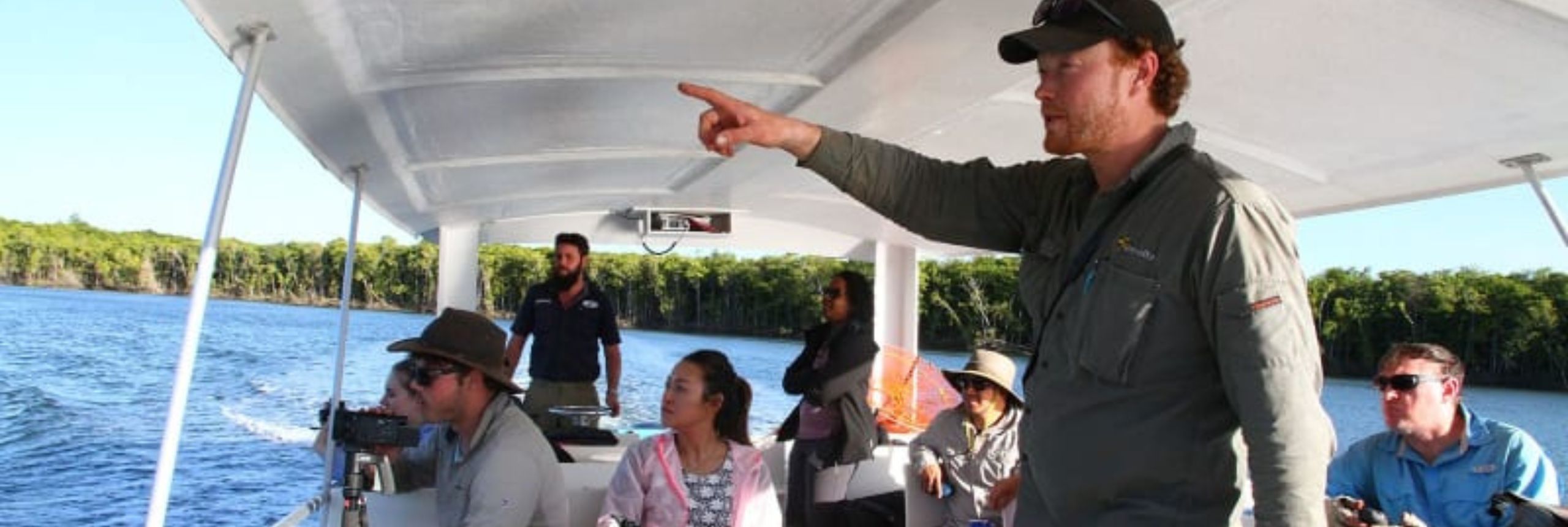 Getting Mangroovy in the Daintree image 2