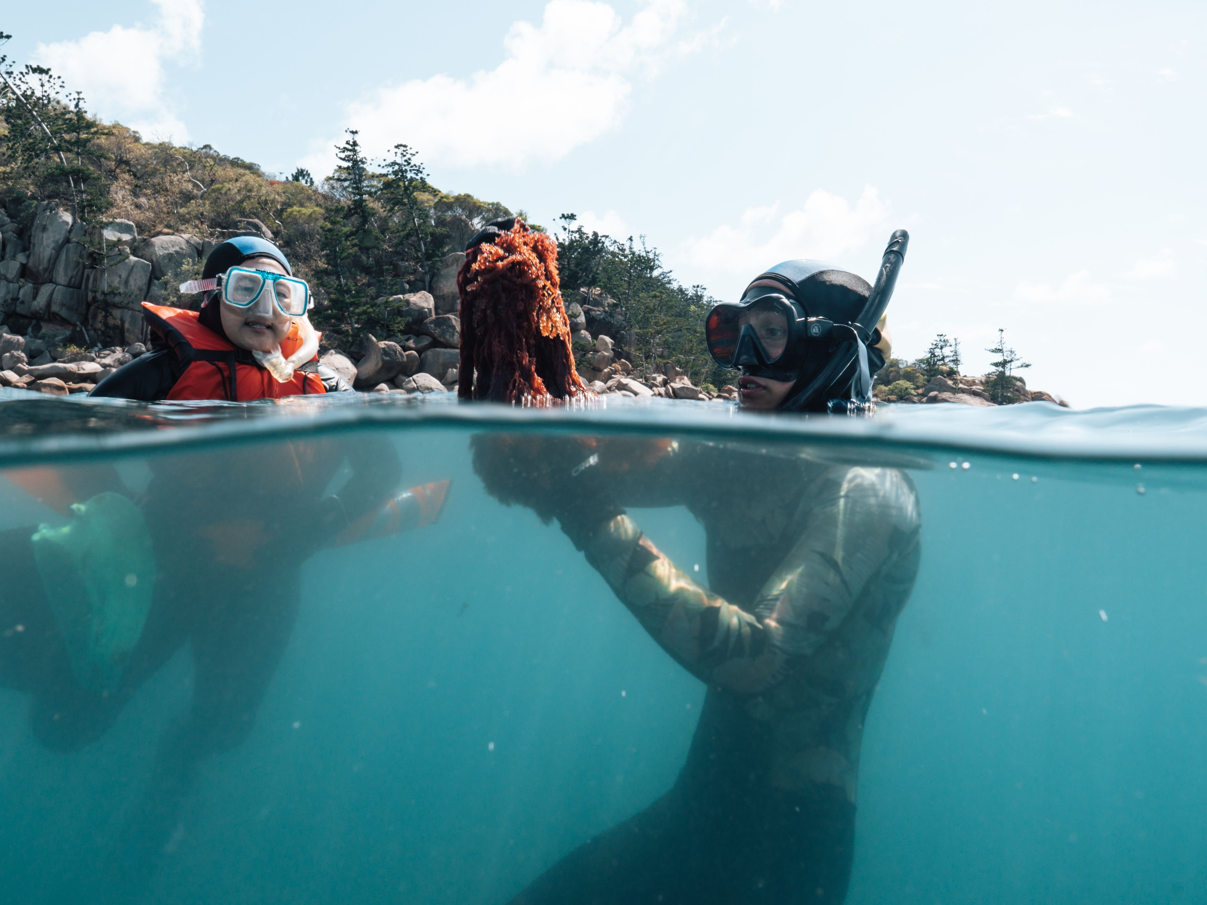 Citizen Science On the Reef