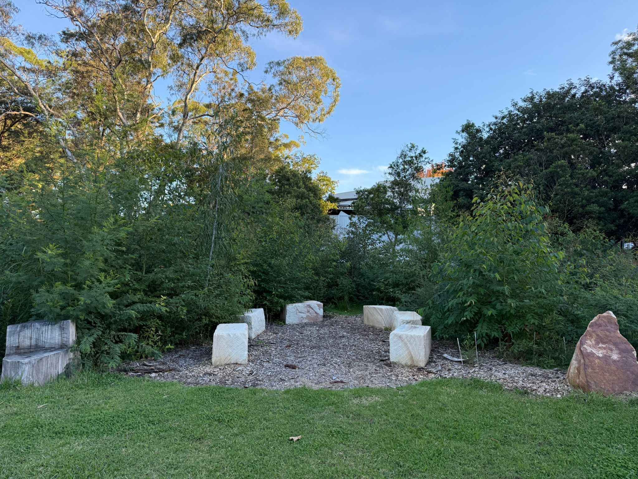 Tiny Forest Seating area