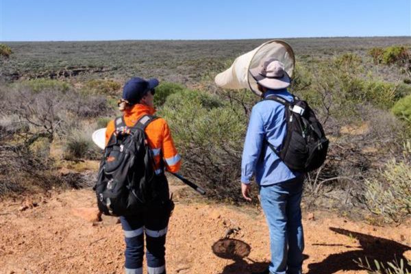 bushblitz_twopeopleinfield