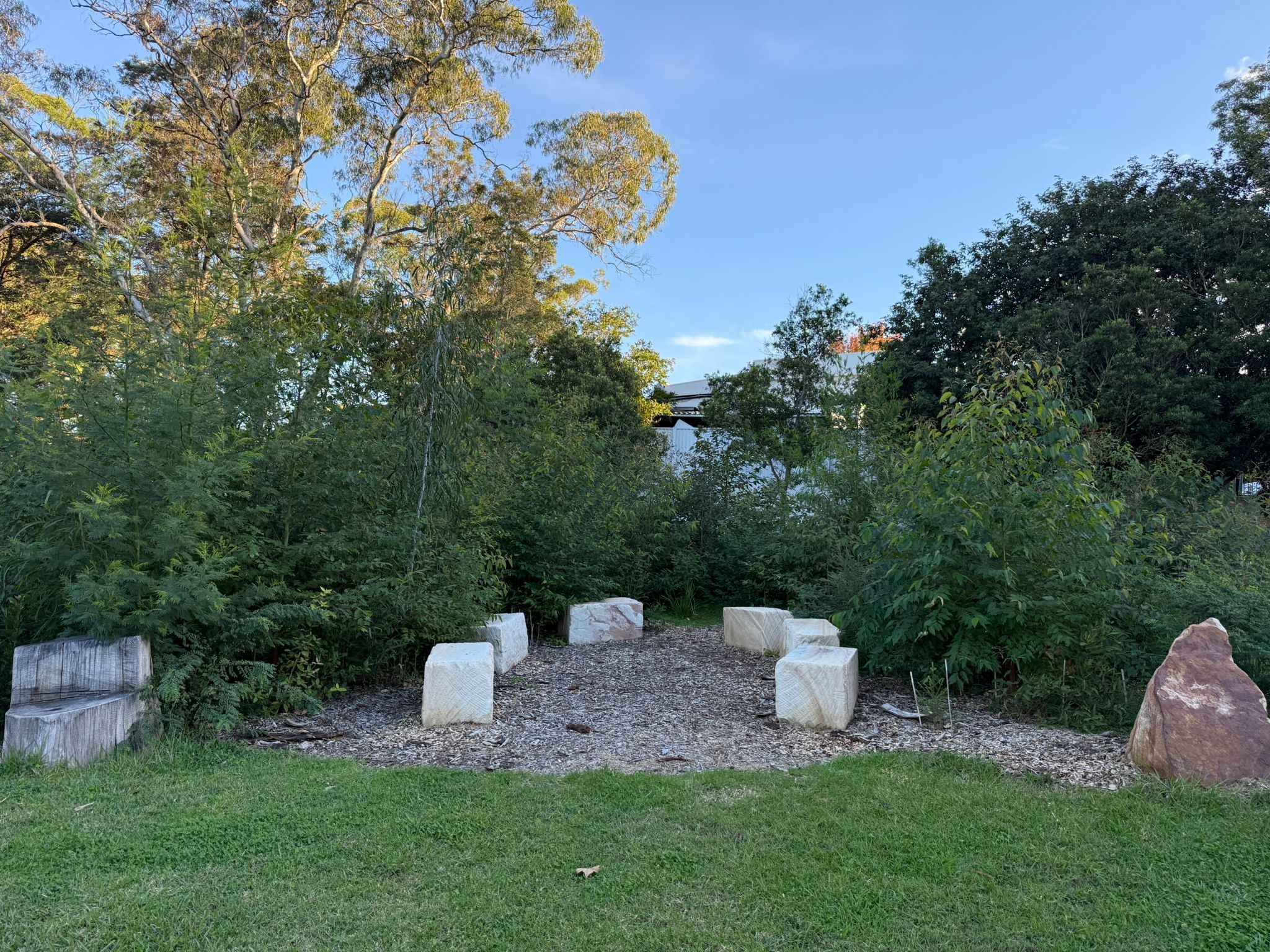 Tiny Forest Seating area