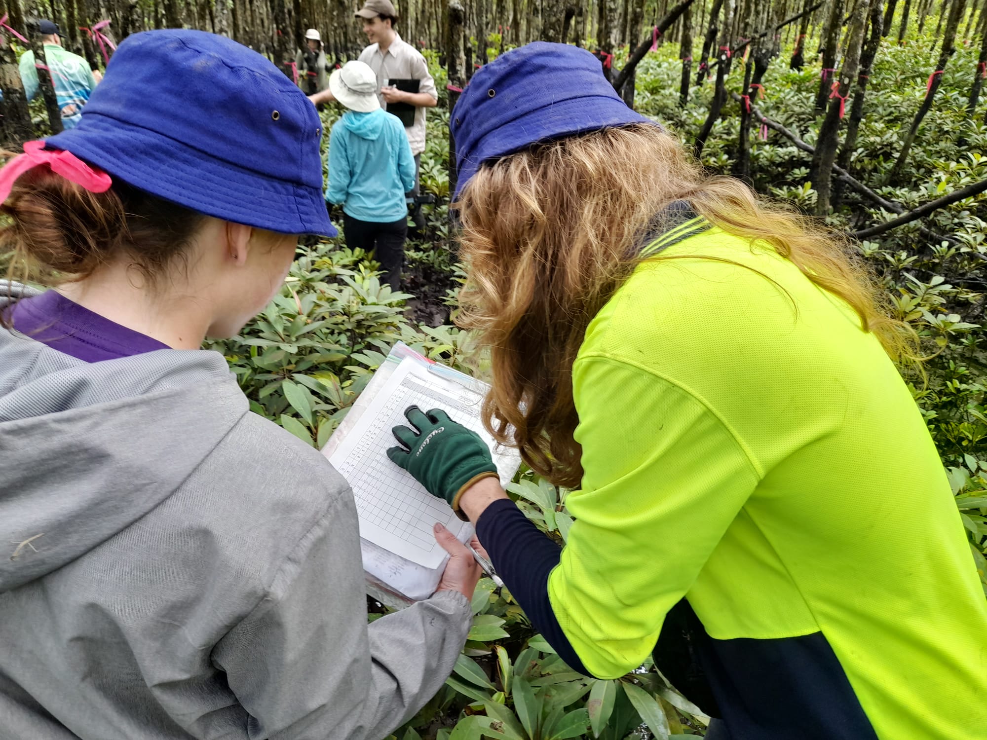 Protecting Wetlands for the Future 3