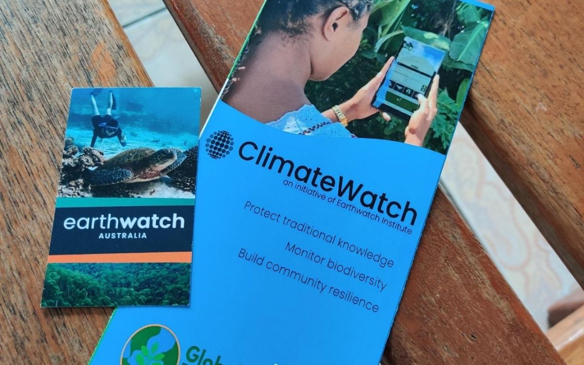 Volunteer at Head Office 