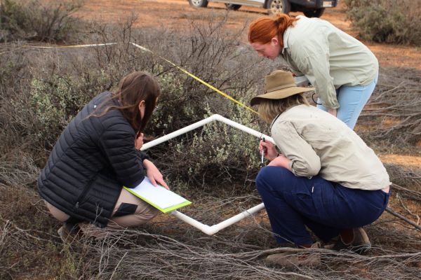 Calperum Station Daily Activities