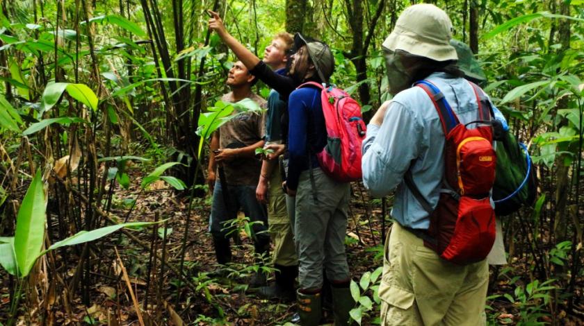 In the rainforest, track an abundance of wildlife, including primates and game birds, and record their behavior.