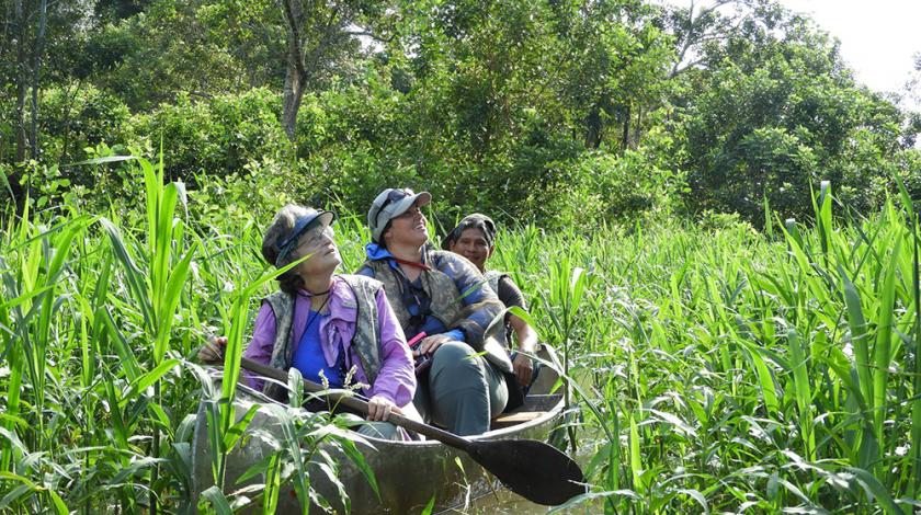 Early in the morning watch the sunrise over the forest and river as you spot and count herons, kingfishers, horned-screamers and a multitude of shore birds.