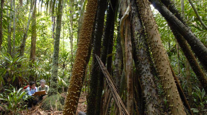 Since 2006, the Earthwatch-supported Amazon Riverboat Exploration project has worked to set up long-term programs to conserve biodiversity and to develop protected areas