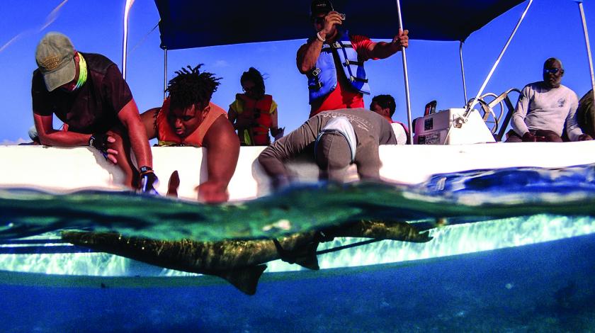 participants on boat with ray