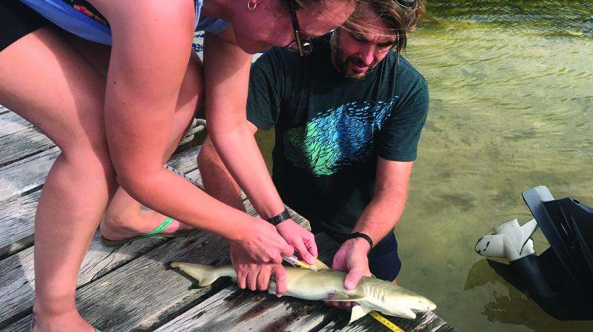 participants conducting research