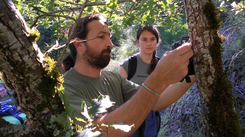 participants surveying vegetation