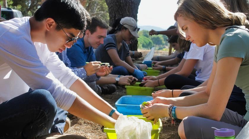sorting research samples