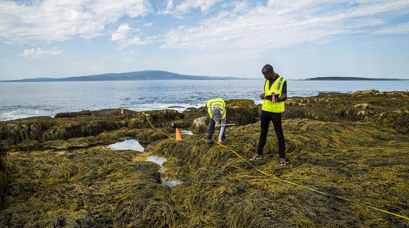 conducting research on shoreline