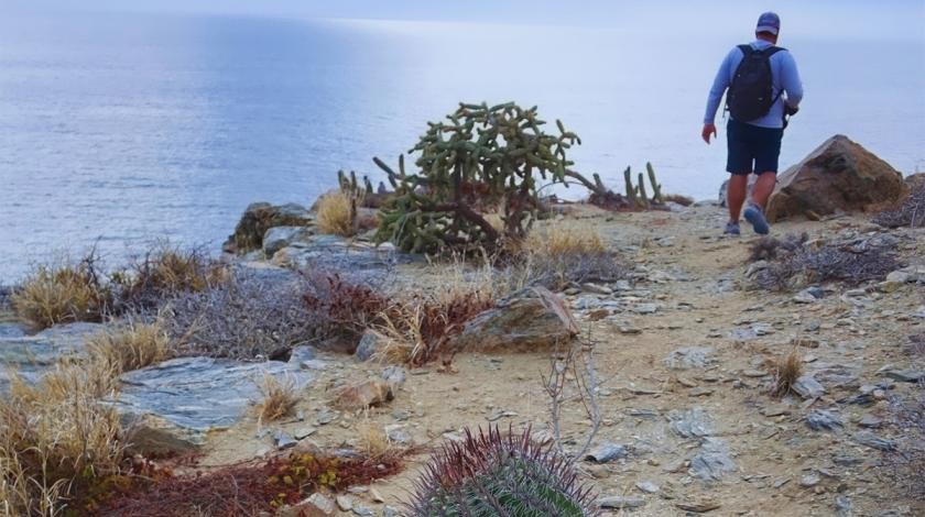 Beach shoreline