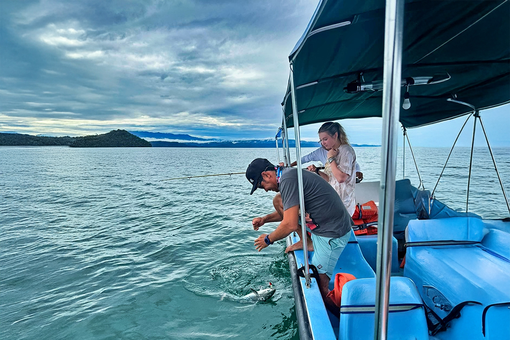 Floating Habitats: Marine Wildlife in a Costa Rican Fjord image1