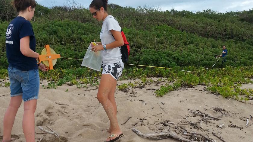 volunteers on beach