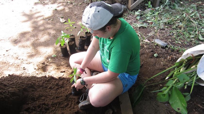 participant planting