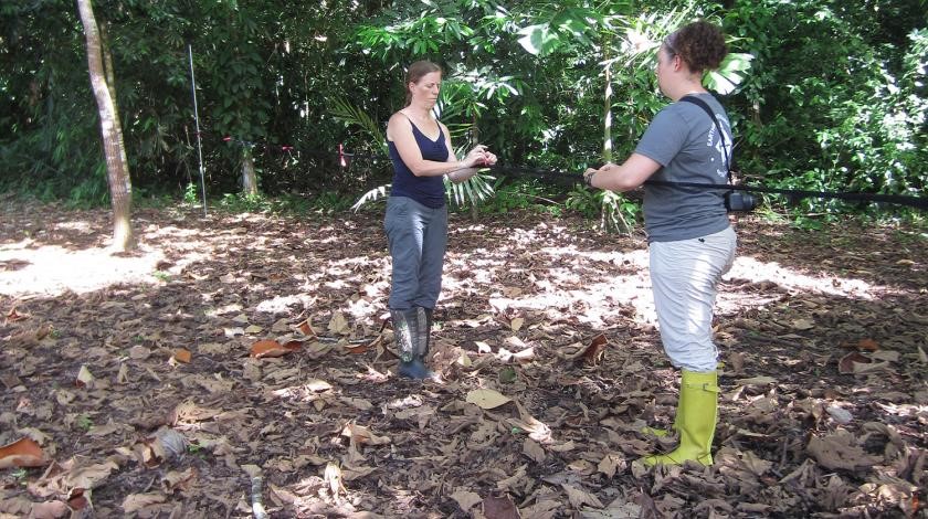 participants Conserving Wild Bees and Other Pollinators