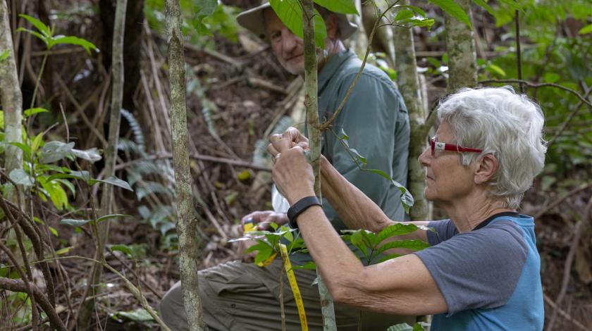participant taking observations