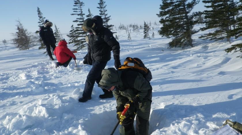 participants conducting research in snow