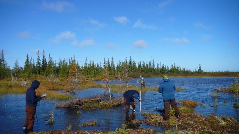 Field work in action
