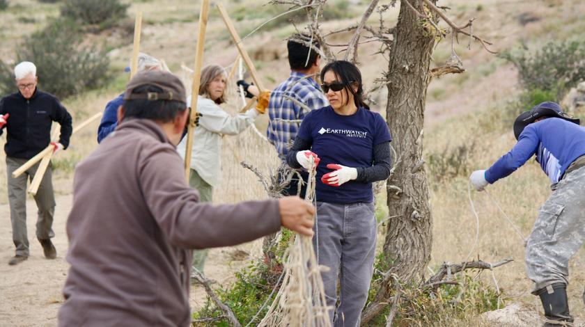 small group conducting research