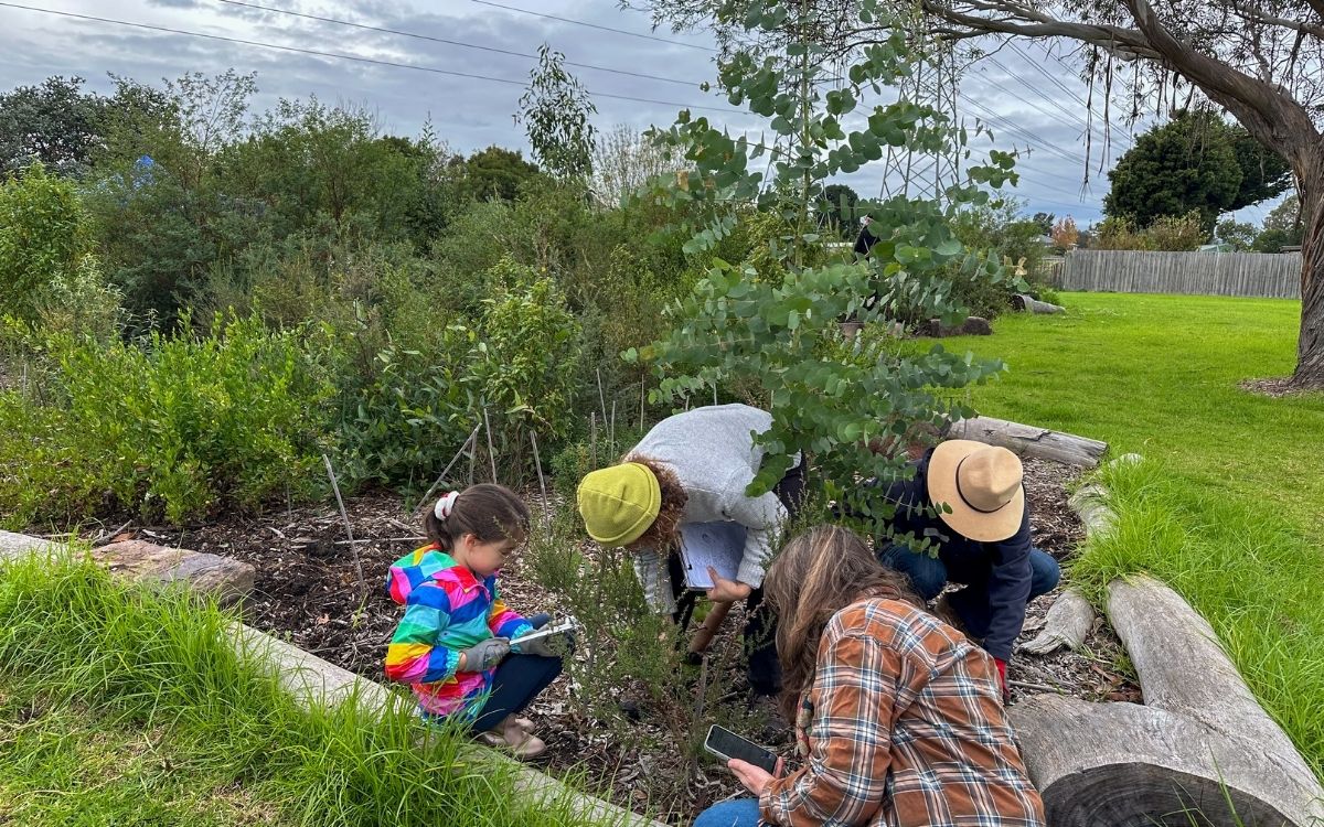 Citizen Scientists Continue to Care for Thriving Fraser Street Reserve Tiny Forest