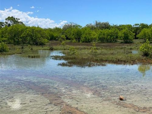 Saltmarsh Survey: Bluewater Round 1