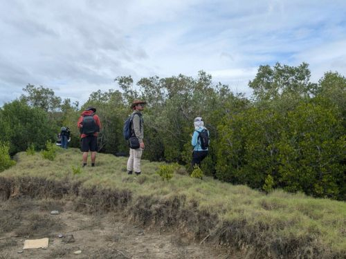 Saltmarsh Survey: Oonoonba Round 1