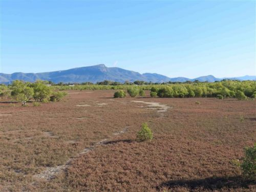 Saltmarsh Survey: Railway Estate Round 1