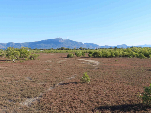 Saltmarsh Survey: Railway Estate