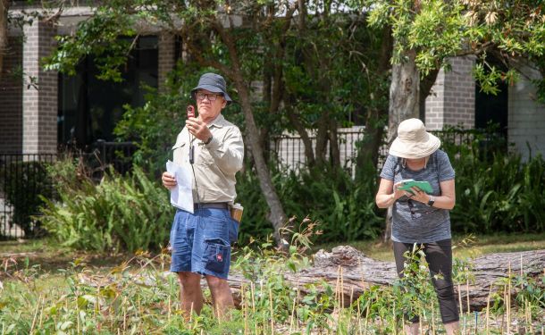 Community-Led Conservation: Dom’s Role in the Ku-ring-gai Tiny Forest