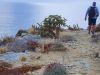 Beach shoreline
