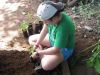 participant planting