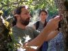 participants surveying vegetation
