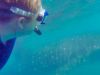 Snorkeling next to whale