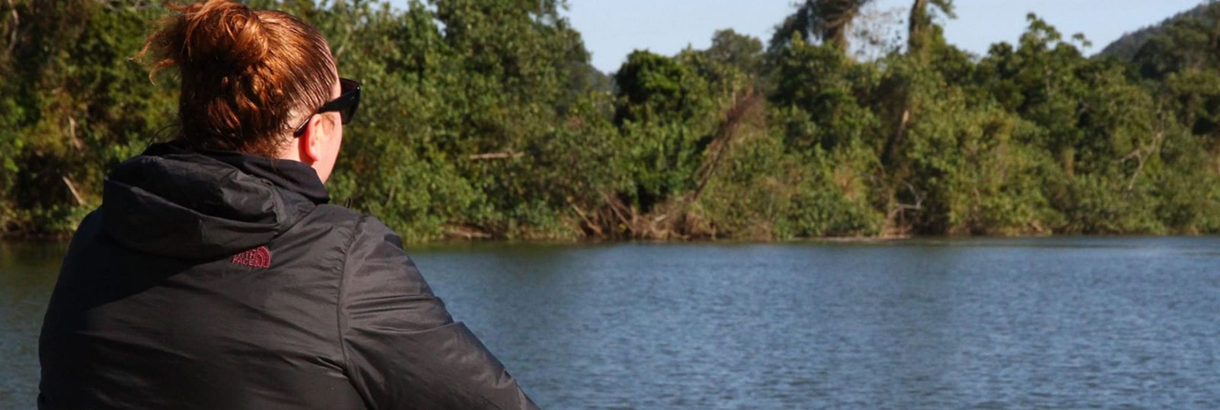 Getting Mangroovy in the Daintree hero