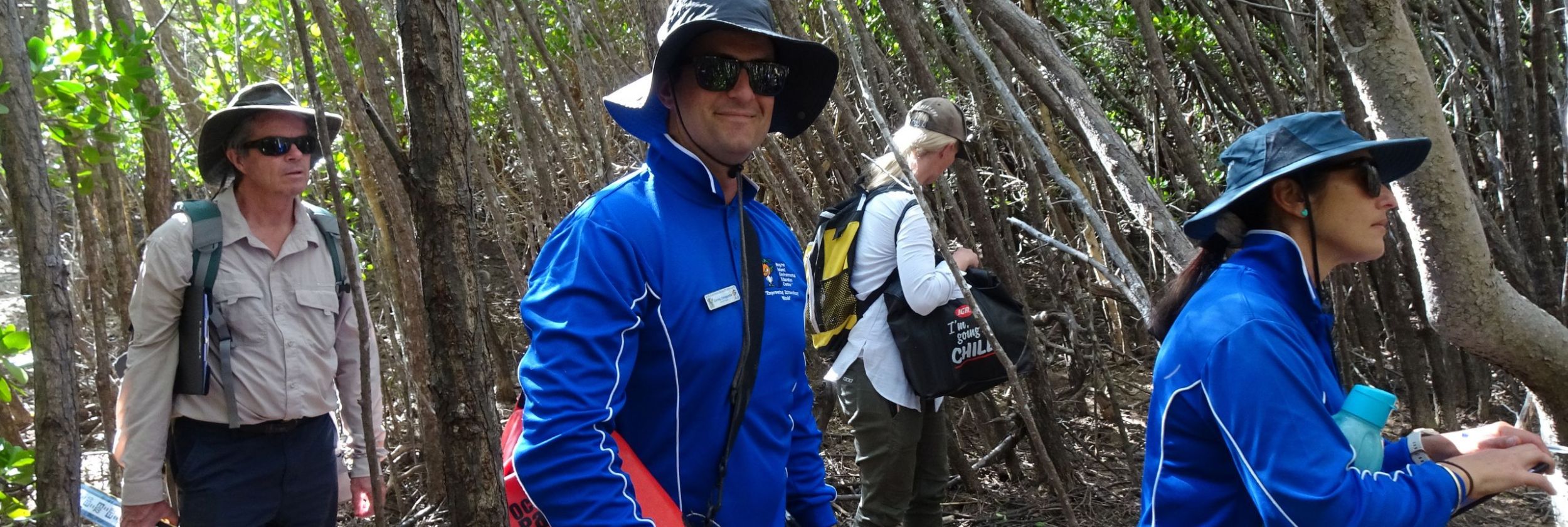 Understanding Queensland's Blue Carbon Resource