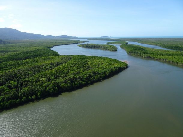Earthwatch citizen science helping to study and protect Australia’s precious coastal ecosystems