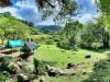 Costa Rica landscape