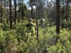 participant in forest