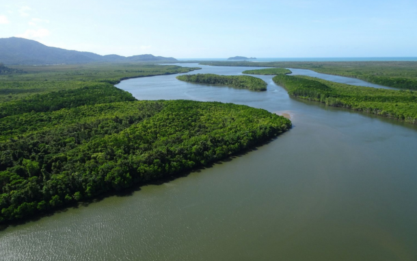 Earthwatch citizen science helping to study and protect Australia’s precious coastal ecosystems