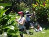 observing bees
