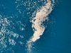 Floating Habitats: Marine Wildlife in a Costa Rican Fjord image6