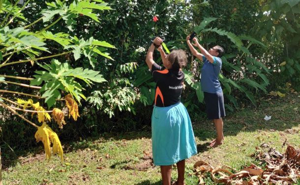Building Climate Resilience: The Success of ClimateWatch Vanuatu