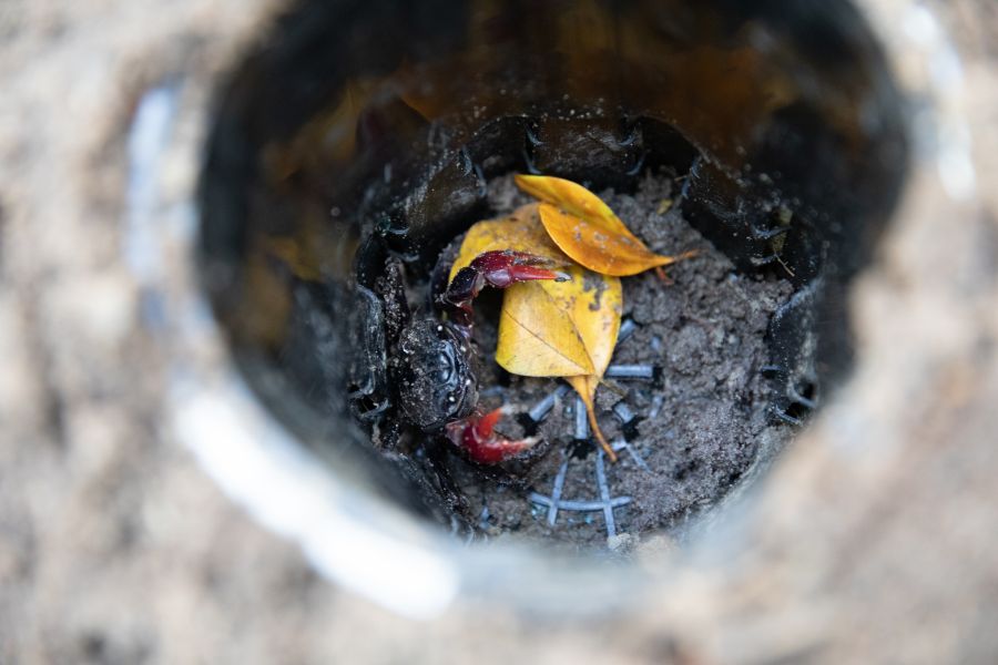 Field work results