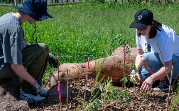 National Volunteer Week 2026: How Citizen Science Volunteering Supports Environmental Research and Conservation in Australia