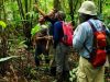 In the rainforest, track an abundance of wildlife, including primates and game birds, and record their behavior.