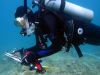 diver taking samples