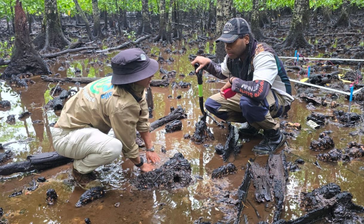The Cassowary and the Crab: Two Custodians of Country